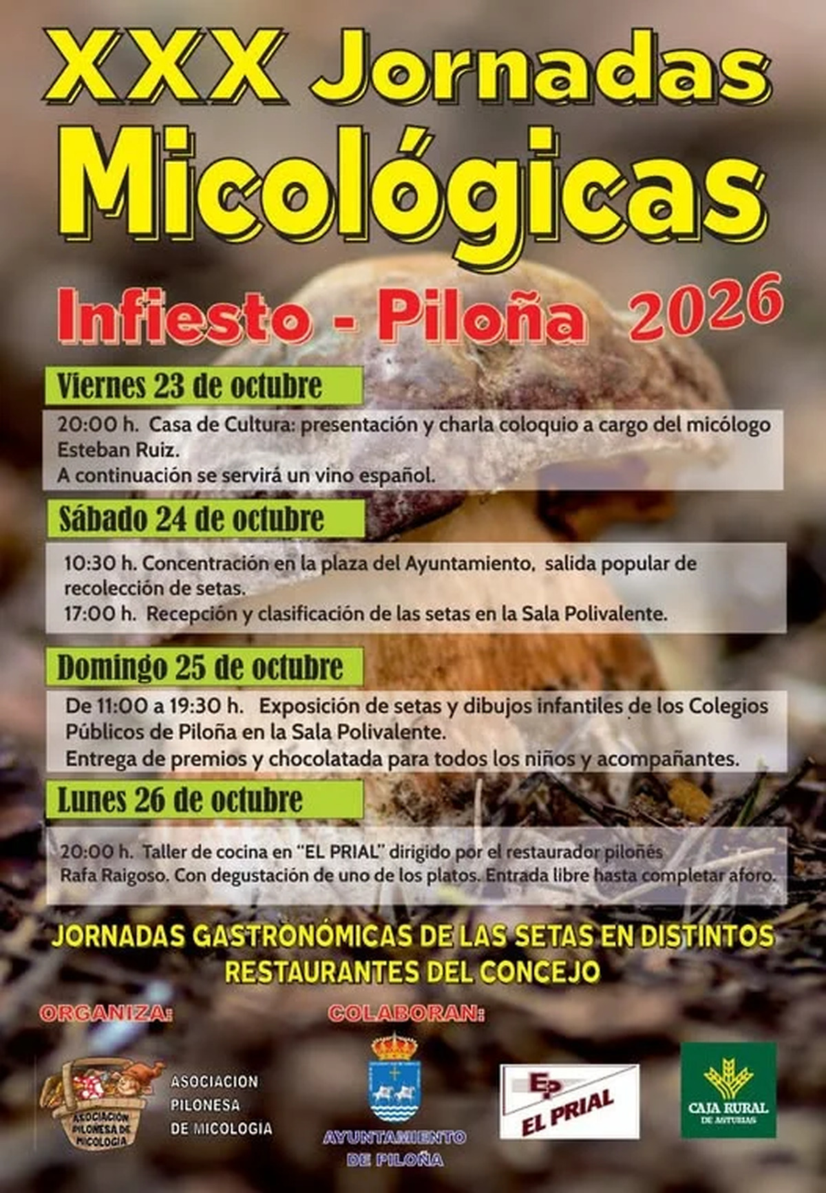 Piloña se prepara para las XXX Jornadas Micológicas del 23 al 26 de octubre