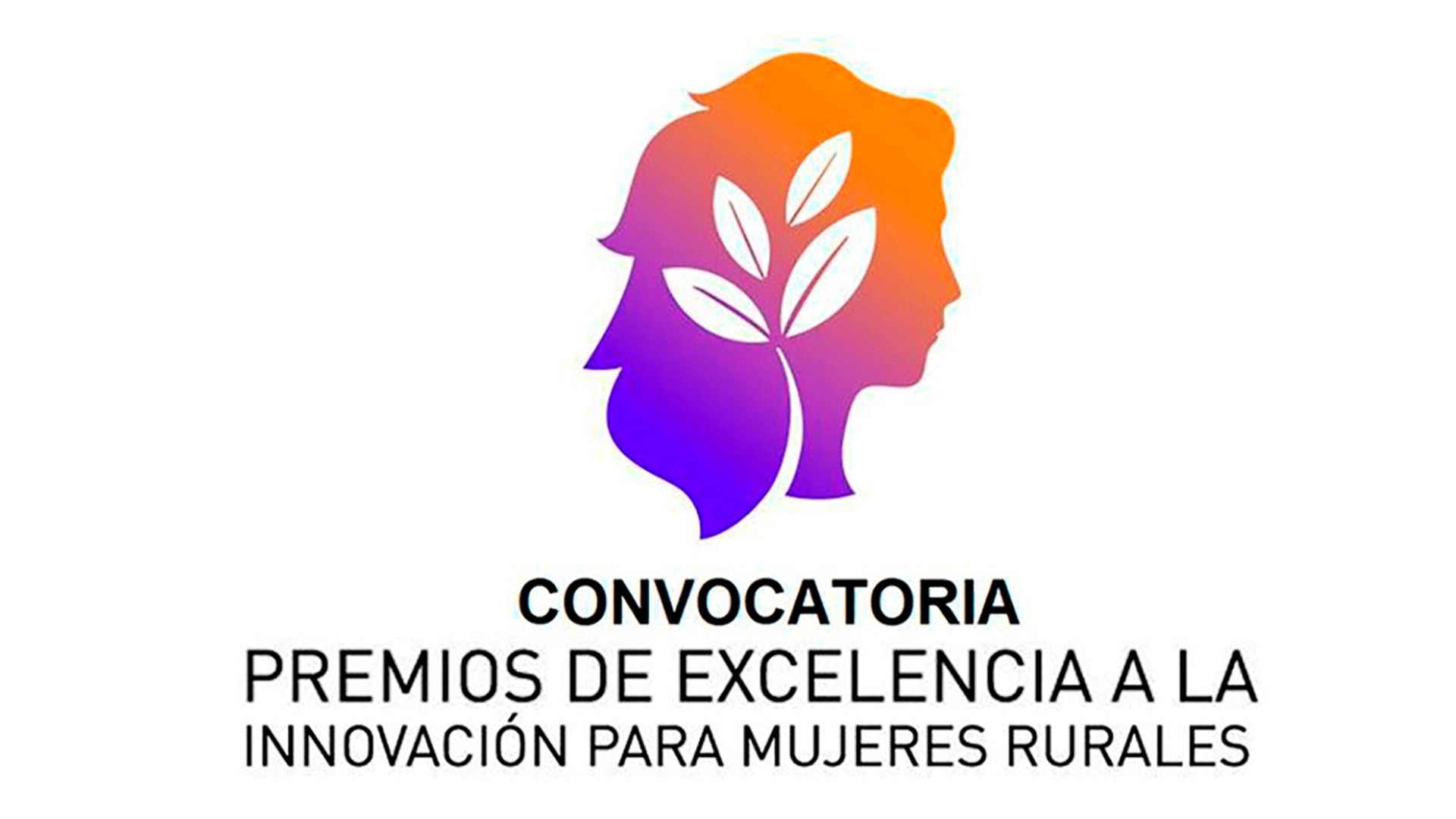 De las anchoas del Cantábrico a la trufa negra: la innovación gastronómica tiene nombre de mujer